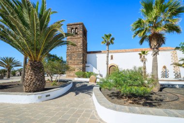 Palmiye ağacı kilisede La Oliva Köyü, Fuerteventura, Kanarya Adaları, İspanya ile kare