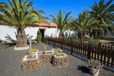 Kanarya tarzı binalar ve tropik bitkiler La Oliva Köyü miras Sanat Merkezi, Fuerteventura, Kanarya Adaları, İspanya