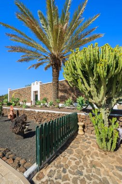 Kanarya tarzı binalar ve tropik bitkiler La Oliva Köyü miras Sanat Merkezi, Fuerteventura, Kanarya Adaları, İspanya