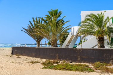 Palmiye ağaçları ve tatil villa, El Cotillo Köyü, Fuerteventura, Kanarya Adaları, İspanya plajda geleneksel Kanarya tarzda inşa