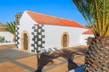 Palm ağaçlar ve tipik Kanarya tarzı beyaz kilise bina Tindaya köyünde, Fuerteventura, Kanarya Adaları, İspanya