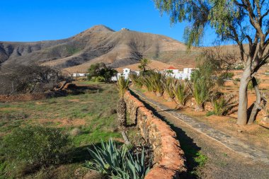 Alanlar, Tefia Köyü kırsal alanda Fuerteventura, Kanarya Adaları, İspanya
