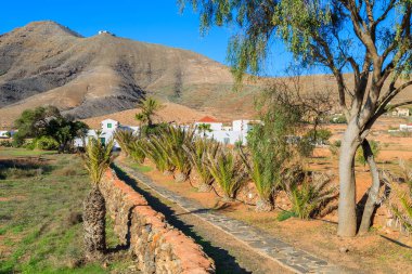 Alanlar, Tefia Köyü kırsal alanda Fuerteventura, Kanarya Adaları, İspanya