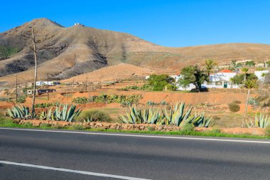 Tefia Köyü, Fuerteventura, Kanarya Adaları, İspanya kırsal alanda alanlar boyunca yol