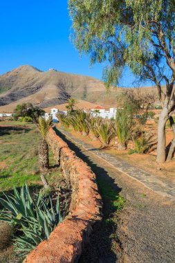 Alanlar, Tefia Köyü kırsal alanda Fuerteventura, Kanarya Adaları, İspanya