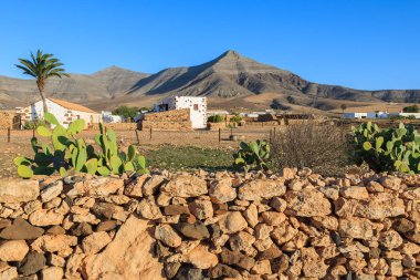 Ön plan, Fuerteventura, Canary Islands, İspanya için kaktüs bitkileri ile Tefia köyünde geleneksel çiftlik
