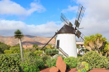 Tropikal Bahçe Antigua Köyü, Fuerteventura, Kanarya Adaları, İspanya eski yel değirmeni