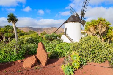 Antigua Köyü, Fuerteventura, Kanarya Adaları, İspanya tropik bahçeler içinde eski yel değirmeni