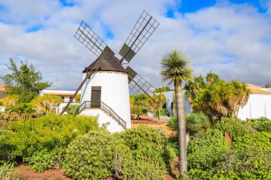 Antigua Köyü, Fuerteventura, Kanarya Adaları, İspanya tropik bahçeler içinde eski yel değirmeni