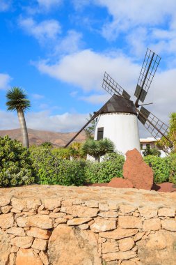 Antigua Köyü, Fuerteventura, Kanarya Adaları, İspanya tropik bahçeler içinde eski yel değirmeni
