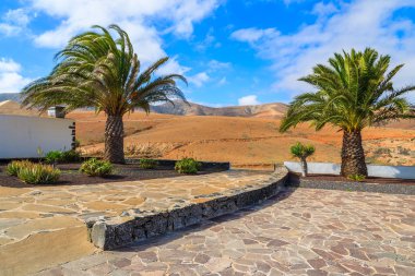 Volkanik dağ manzarası Fuerteventura Adası, İspanya'nın köy meydanında palmiye ağaçlarının