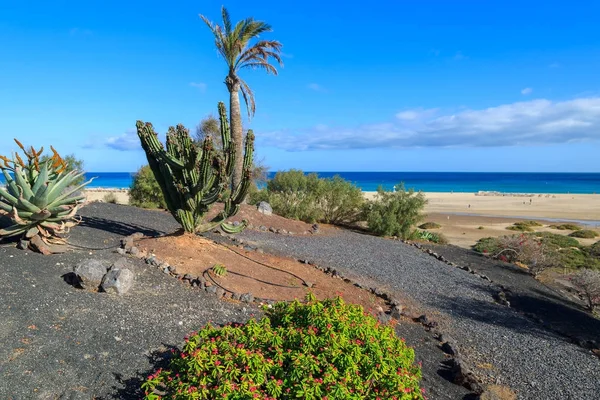 Passeio Costeiro Longo Praia Areia Cidade Morro Jable Fuerteventura Ilhas — Fotografia de Stock