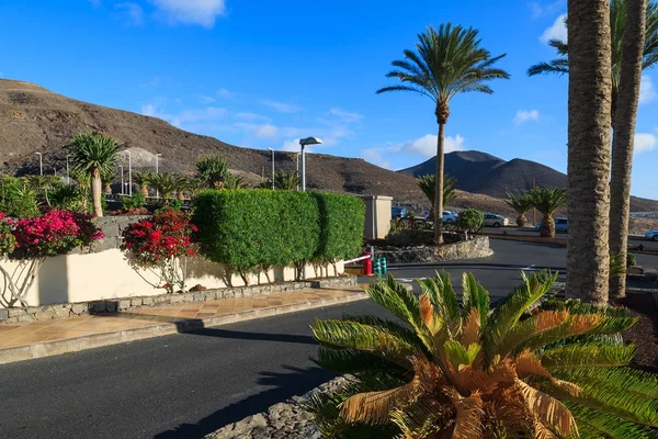 Rua Com Plantas Tropicais Morro Jable Cidade Litorânea Fuerteventura Ilhas — Fotografia de Stock