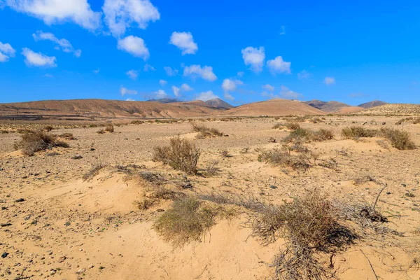 Paisaje Del Desierto Playa Sotavento Península Jandia Fuerteventura Islas Canarias — Foto de Stock