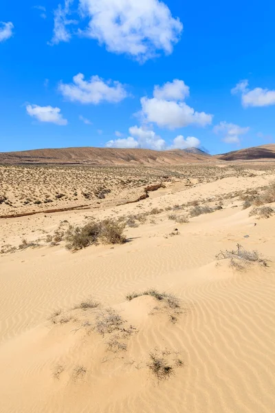 砂漠の風景とハンディア半島 フェルテベントゥラ島 カナリア諸島 スペインのソタベント ビーチの砂丘 — ストック写真