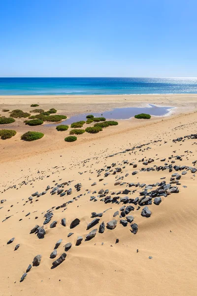 Duna Areia Praia Sotavento Península Jandia Fuerteventura Ilhas Canárias Espanha — Fotografia de Stock