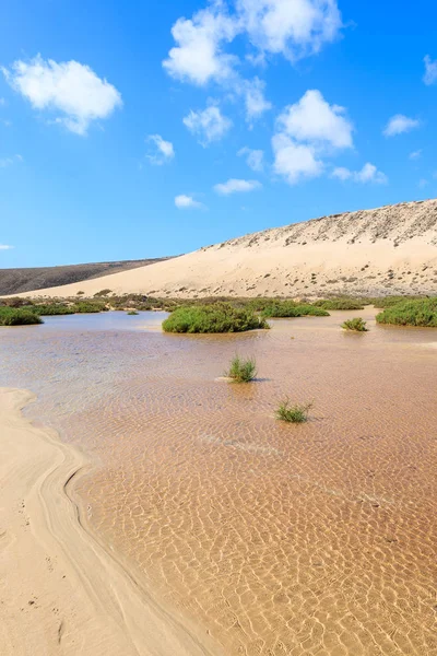 Duna Areia Lagoa Água Praia Sotavento Península Jandia Fuerteventura Ilhas — Fotografia de Stock