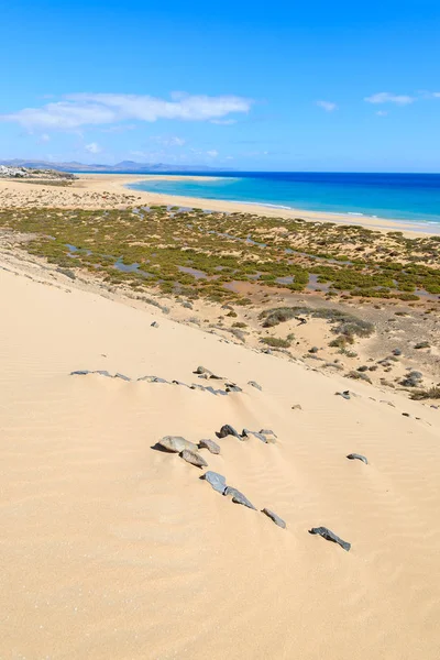 Sand Dune Sotavento Beach Jandia Peninsula Fuerteventura Canary Islands Spain — Stock Photo, Image