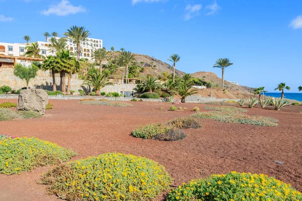 Kust Promenade Groen Gebied Las Playitas Dorp Openbare Strand Fuerteventura — Stockfoto
