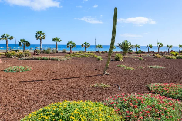 Promenade Costeira Área Verde Las Playitas Aldeia Praia Pública Fuerteventura — Fotografia de Stock