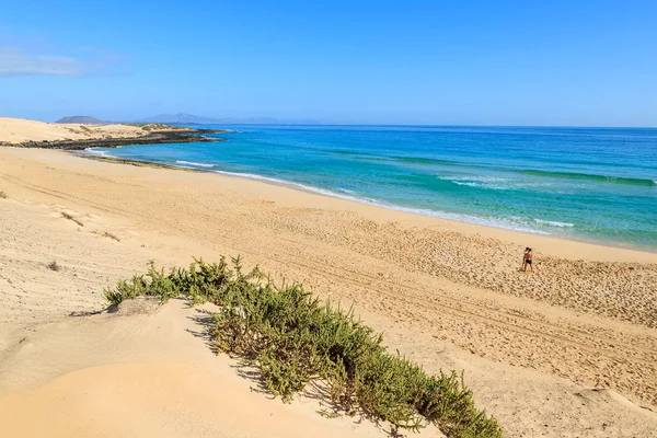 Pohled Písečné Duny Moře Národním Parku Corralejo Fuerteventura Kanárské Ostrovy — Stock fotografie