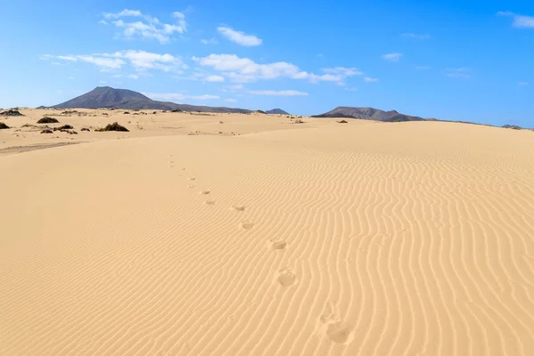 Huellas Dunas Arena Parque Nacional Corralejo Fuerteventura Islas Canarias España — Foto de Stock