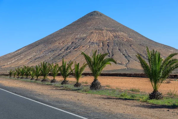 Carretera Con Hilera Palmeras Montaña Volcánica Fondo Pueblo Oliva Fuerteventura — Foto de Stock