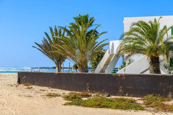 Palm trees and holiday villa built in traditional Canary style on beach in El Cotillo village, Fuerteventura, Canary Islands, Spain
