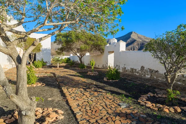 Avlu ve tipik beyaz Kanarya tarz kilise Tefia Köyü, Fuerteventura, Kanarya Adaları, İspanya'nın bahçelerinin