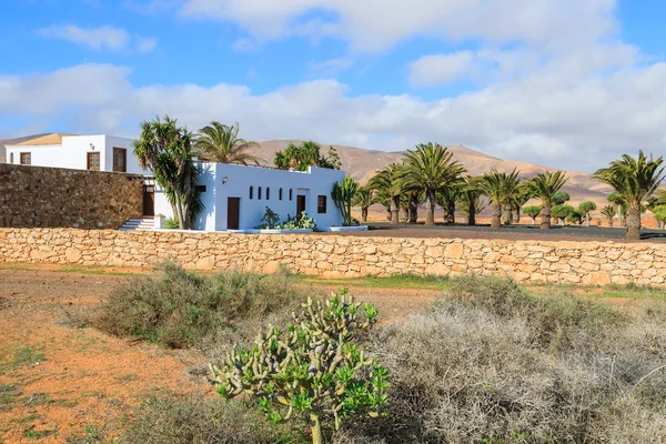 Traditionelle Kanarische Häuser Antigua Windmühle Museumsdorf Fuerteventura Kanarische Inseln Spanien — Stockfoto