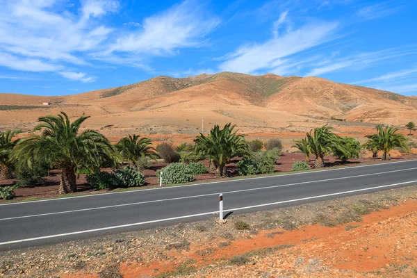 Palmeras Largo Una Carretera Vista Las Montañas Volcánicas Cerca Del — Foto de Stock