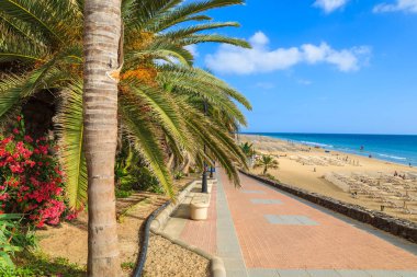 Morro Jable kentindeki Fuerteventura, Canary Islands, İspanya için kumlu plaj sahil mesire