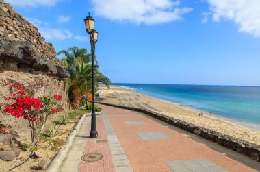 Tropikal bitki ve çiçeklerle Morro Jable tatil köyü, Fuerteventura, Kanarya Adaları, İspanya bir plaj boyunca mesire