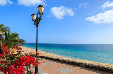 Morro Jable Jandia beach ile okyanus manzarası, Fuerteventura, Kanarya Adaları, İspanya boyunca tropik çiçekler