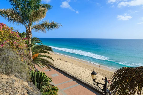 Promenade Met Tropische Planten Bloemen Langs Een Strand Het Vakantiedorp — Stockfoto