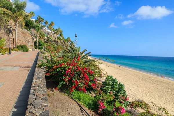 Morro Jable kentindeki Fuerteventura, Canary Islands, İspanya için kumlu plaj sahil mesire