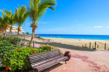 Palmiye ağaçlarının Morro Jable sahil mesire ve plaj manzarası, Fuerteventura, Kanarya Adaları, İspanya