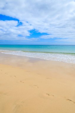 Güzel Morro Jable sahilde Jandia Yarımadası, Fuerteventura, Kanarya Adaları, İspanya