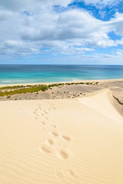 Jandia Yarımadası, Fuerteventura, Kanarya Adaları, İspanya üzerinde Sotavento sahilde kum kabuklarıyla ayak izleri