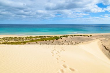 Jandia Yarımadası, Fuerteventura, Kanarya Adaları, İspanya üzerinde Sotavento sahilde kum kabuklarıyla ayak izleri