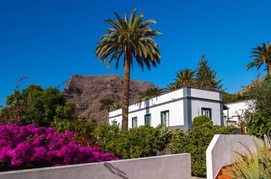 Palmiye ağaç beyaz geleneksel ev Çiçek Bahçesi, Valle Gran Rey, La Gomera, Kanarya Adaları