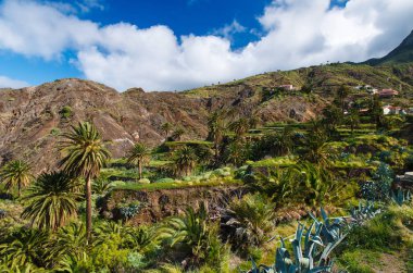 Palmiye ağaçları dağ Vadisi ve bulutların üstünde mavi gökyüzü, Alojera, La Gomera, Kanarya Adaları