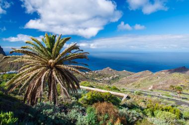 Kıyı görünümü Köyü palmiye ağaç dağ Vadisi beyaz bulutlar mavi gökyüzü, Alojera, La Gomera, Kanarya Adaları
