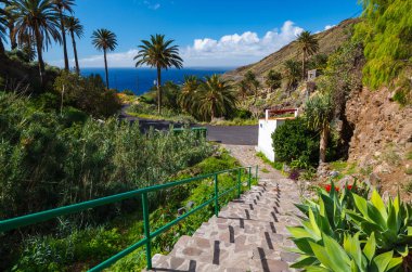Adımları palm ağaçlar dağ Vadisi, Taguluche, La Gomera, Kanarya Adaları