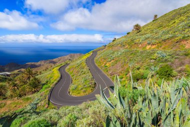 La Gomera, Kanarya Adaları, İspanya'nın tropikal peyzaj yol