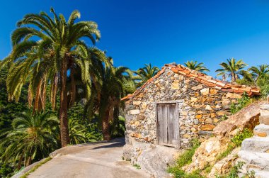 Eski geleneksel taş ev palmiye ağacı kırsal alan, La Gomera, Kanarya Adaları