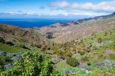 Palmiye ağacı Vadisi beyaz bulutlar mavi gökyüzü sahil deniz görünümü dağlar, Alojera, La Gomera, Kanarya Adaları