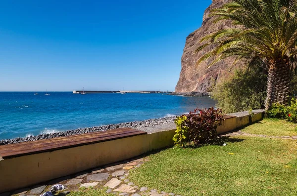 Tuin Palm Tree Uitzicht Zee Gomera Canarische Eilanden — Stockfoto