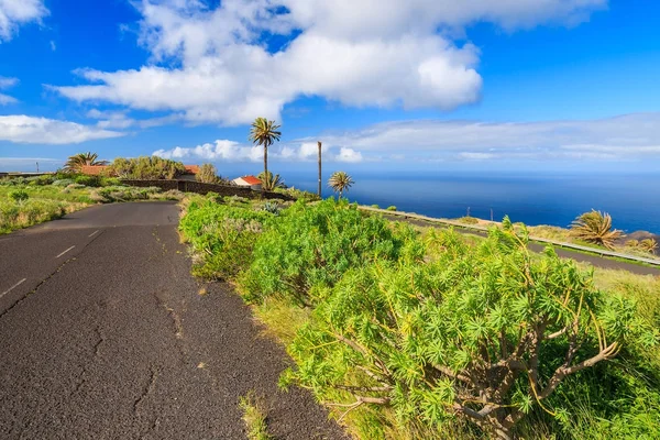 Carretera Costera Con Palmeras Gomera Islas Canarias España — Foto de Stock
