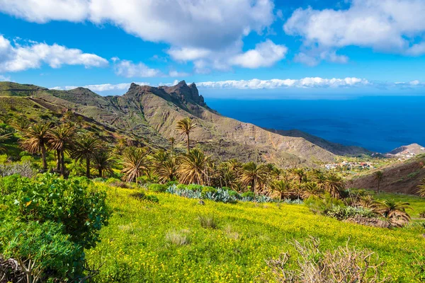 Bekijken Van Tropische Palm Valley Bergen Gomera Canarische Eilanden — Stockfoto